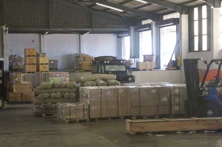 Gecko bereit zum Verladen. Danke für Deine guten Dienste!